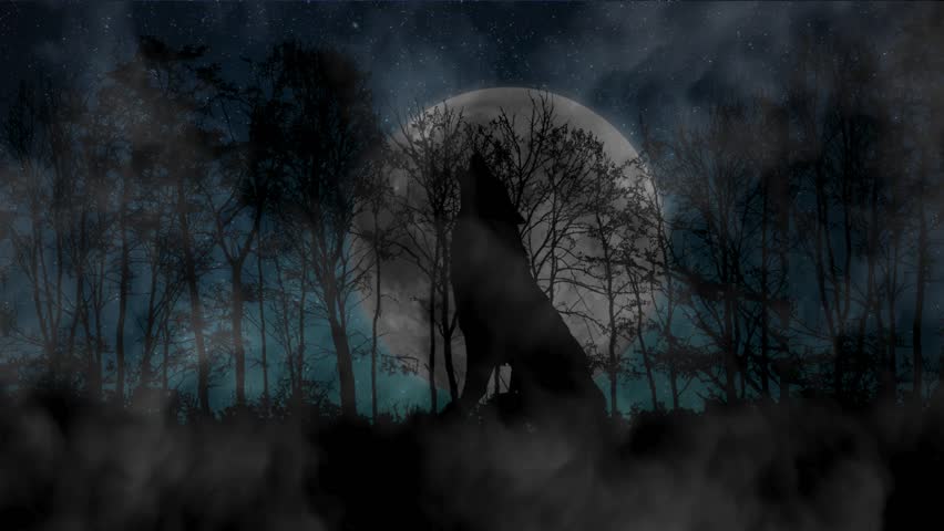 A lone wolf howls through rising mist as moonlight breaks the fog. The forest shifts from mystery to clarity in a cinematic nightscape of solitude and wild spirit.