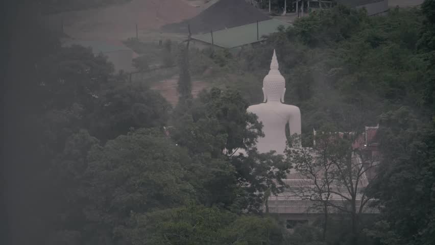A large white Buddha statue surrounded by dense green forest, viewed from above in a serene temple setting.
