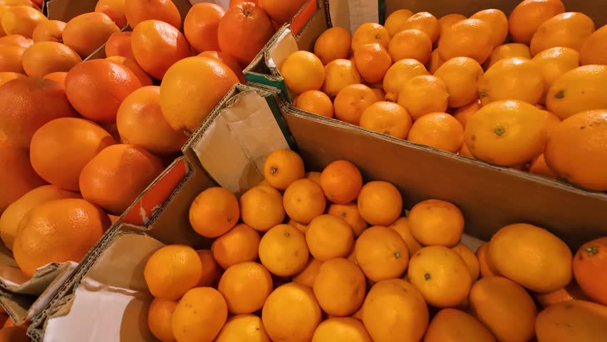 Oranges in cardboard boxes in a supermarket.