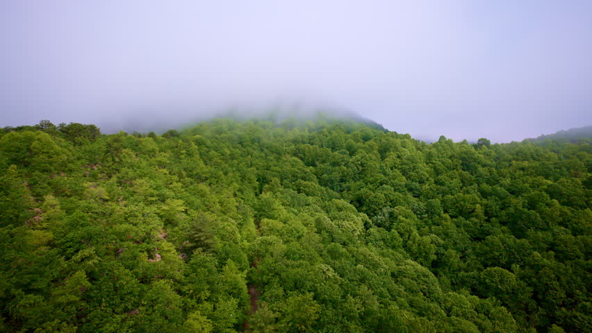 Aerial flyover showcasing fog weaving through the Smoky Mountains.