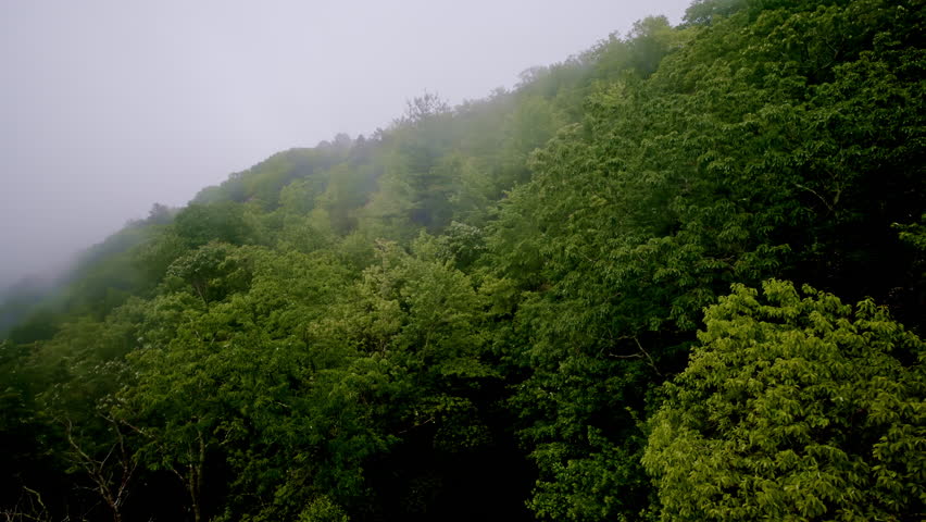 Drone view gliding gracefully over mist-filled landscapes.