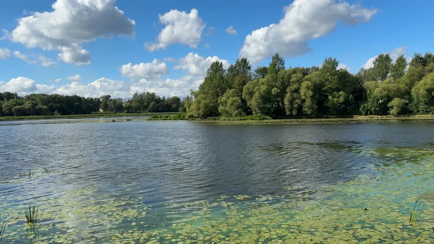 Scenic lake landscape with trees and clouds under blue sky, suitable for nature background video
