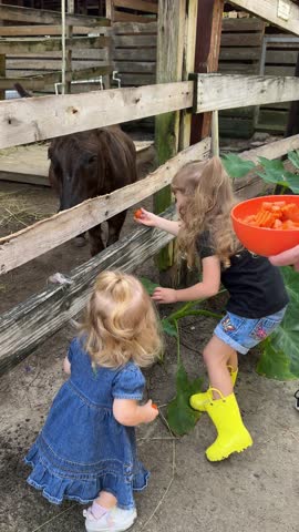 Two young children feeding through wooden fence a donkey in rustic farm setting, authentic candid family lifestyle moment representing childhood wonder, rural life, learning, and outdoors