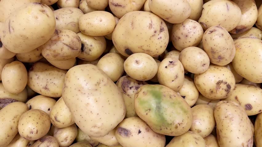 choosing onions, potatoes in a grocery store