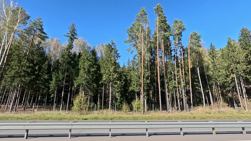Roadside and road on a sunny day. Along the road, roadside view. Autumn and summer day.