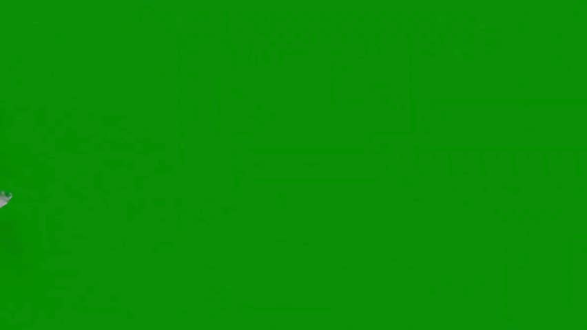 Two colorful lovebirds flying together against a solid green background, showcasing vibrant plumage and grace.