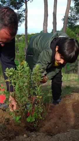 Alpha generation boy on a family collaboration for the sustainability of the forest ecosystem