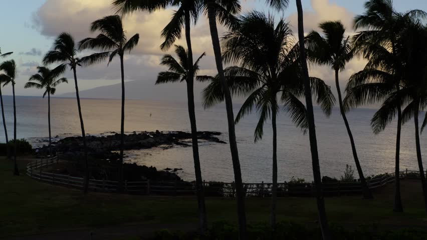 Boom Up behind palm trees to reveal epic clouds at Sunset in Kapalua Bay, Maui, Hawaii