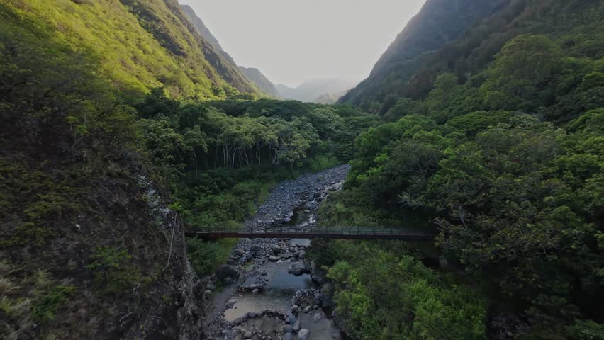 Video aereo 4K 30fps registrato vicino alla Iao Valley, Hawai