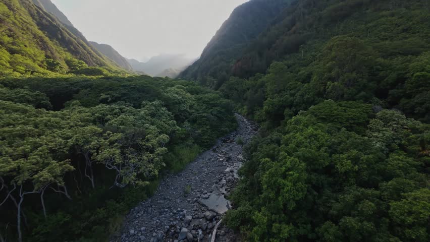 Video aereo 4K 30fps registrato vicino alla Iao Valley, Hawai