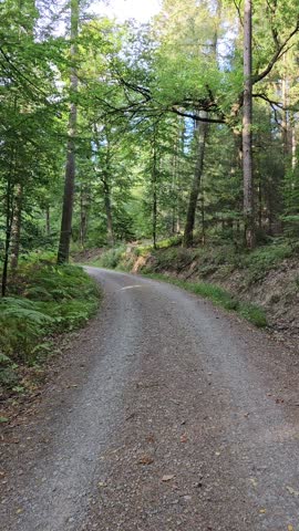 The forest trail in Germany in Hesse near the city of Fulda winds through lush greenery, offering a peaceful break amidst natural beauty, ideal for hiking.