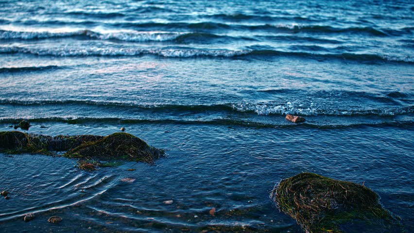 Waves Washing Over Seaweed and Rocks on the Shore