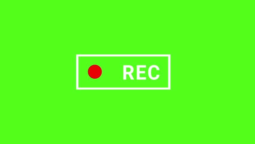 A clean and minimalist 2D vector animation of a blinking red dot and 'REC' text on a bright green screen, a simple graphic for video recording, live streaming, and broadcast media.
