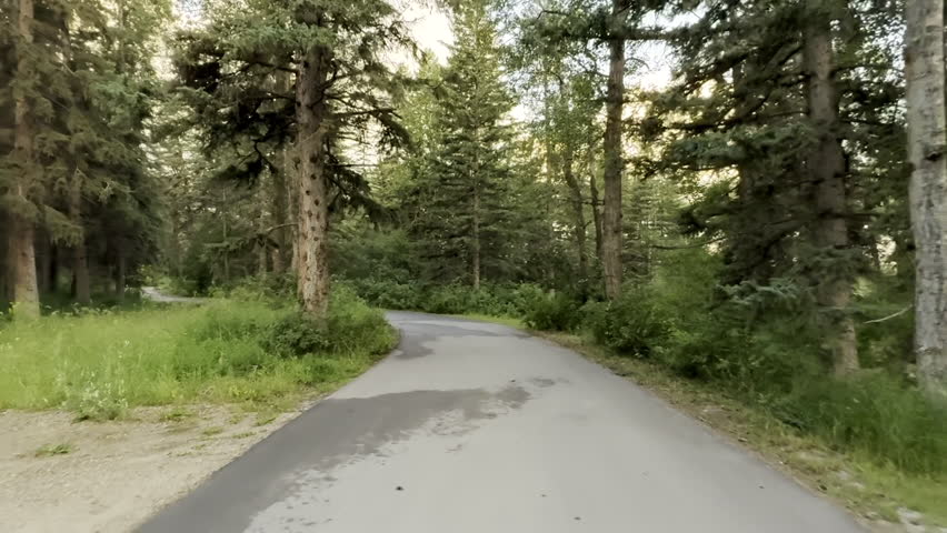 Helmet cam view of cyclist along a paved trail at a park with trees