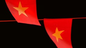 A canopy of small Vietnamese flags and colorful lanterns hangs across a street at night in Hoi An, celebrating national pride and local festive spirit. - Powered by Shutterstock - Get 15% off with code: PIKWIZARD15