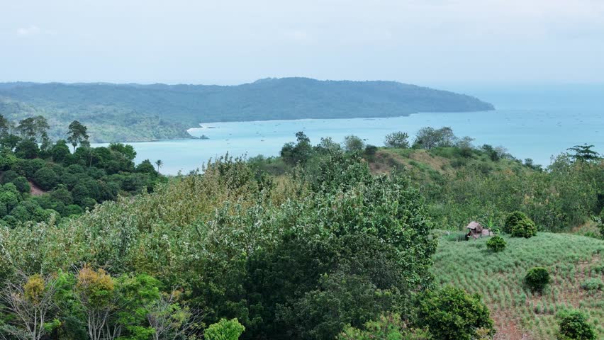 Panoramic landscape of blue ocean meeting green hills under cloudy sky, ideal for travel, adventure, summer vacation, and nature themes.