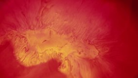Oil wave. Blur splash. Defocused yellow red neon colorful water liquid paint fluid drop burst on abstract art creative background. - Powered by Shutterstock - Get 15% off with code: PIKWIZARD15
