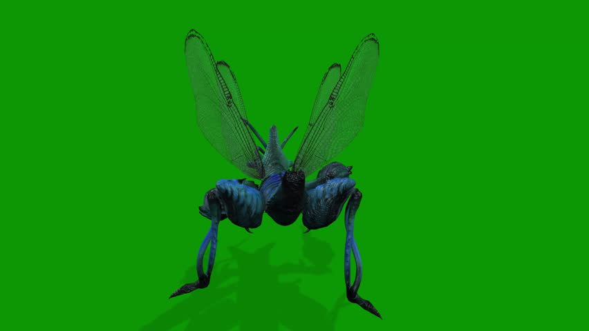3D Creepy Bug Monster idle Scene Back Side on Green Screen Background