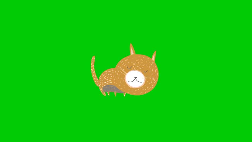 Cute cat animation with green background.