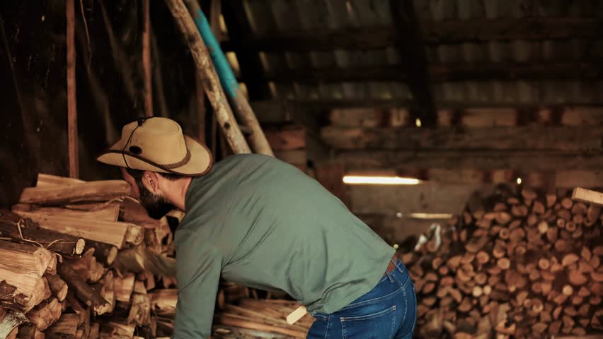 Man Stacking Firewood In Barn, Young Cowboy Working. Lumberjack Preparing For Winter. Rustic Work, Countryside Activity, Wood Piling. Home Heating Preparation, Hard Work And Strength. Rustic Farm Life