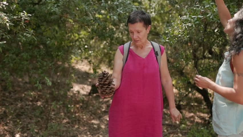 Woman wearing pink dress and backpack discovering large pine cone while sharing woodland moment with curly haired friend in light blue dress amid sunlit forest landscape