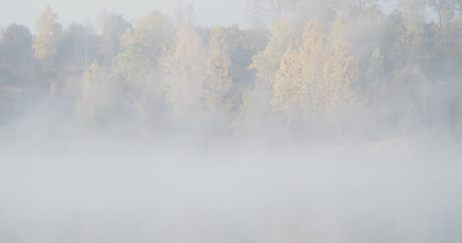 Autumnal nature through lake dense fog 4K footage