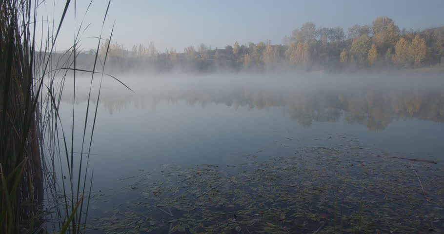 Misty lake by autumnal morning 4K DCI video
