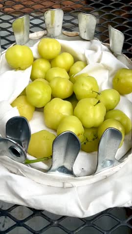 Phyllanthus acidus or cermai fruit waits for time to ripen and can be consumed. Phyllanthus acidus is a fruit that tastes sour and lots of vitamins