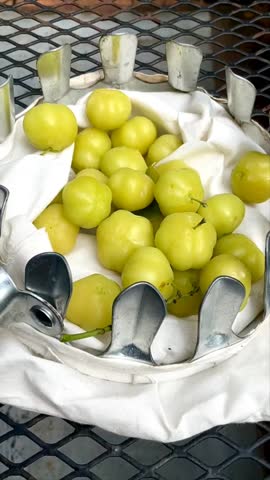 Phyllanthus acidus or cermai fruit waits for time to ripen and can be consumed. Phyllanthus acidus is a fruit that tastes sour and lots of vitamins