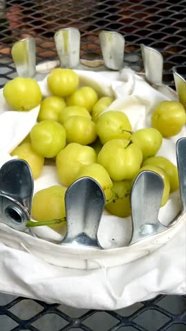 Phyllanthus acidus or cermai fruit waits for time to ripen and can be consumed. Phyllanthus acidus is a fruit that tastes sour and lots of vitamins