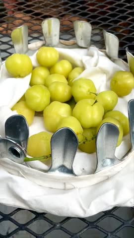 Phyllanthus acidus or cermai fruit waits for time to ripen and can be consumed. Phyllanthus acidus is a fruit that tastes sour and lots of vitamins