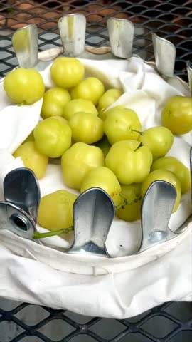 Phyllanthus acidus or cermai fruit waits for time to ripen and can be consumed. Phyllanthus acidus is a fruit that tastes sour and lots of vitamins