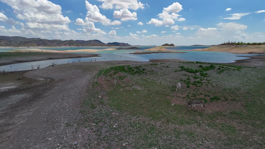 Aerial view of Lake Pleasant