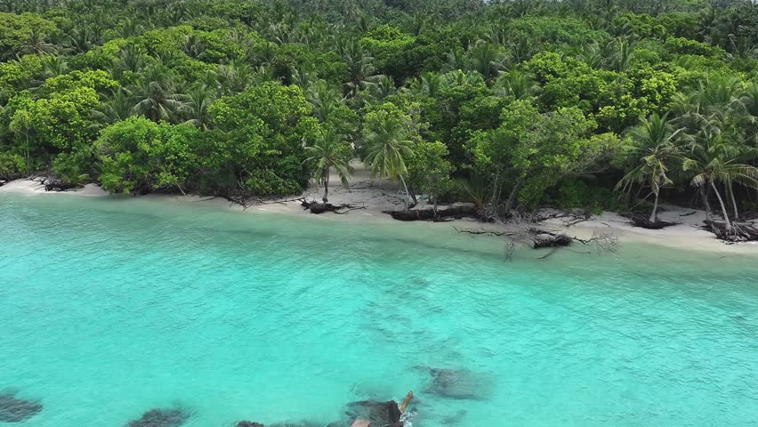 Aerial view of the stunning contrast of the lush green trees and the white sandy beach as it meets the turquoise water, Billefahi, Shaviyani Atoll, Maldives.