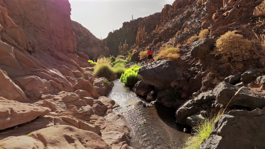 Aerial view of the arid Guatin Canyon where a person stands on rocks near a stream, contrasting with the desert landscape, Cañon de Guatin, San Pedro de Atacama, Chile.