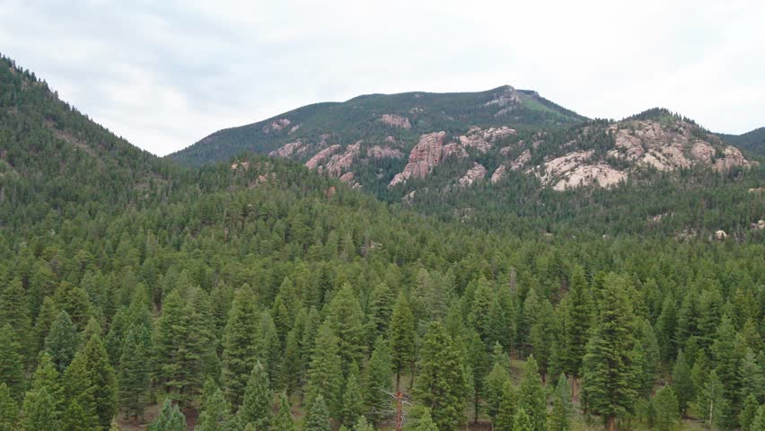 A panning drone flight over a remote mountain forest with wilderness area and rocky cliffs in the distance. Filmed in the Pike National Forest of Colorado.