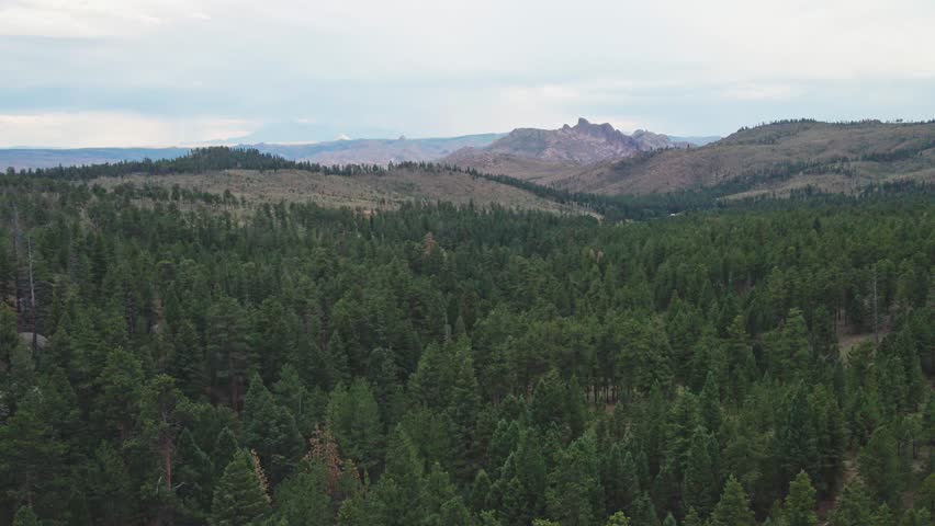 A slow drone flight over a remote mountain forest near sunset with wilderness area and rocky cliffs in the distance. Filmed in the Pike National Forest of Colorado.