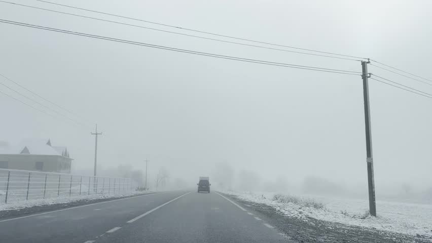 Road with frozen trees and bushes. Winter white snow outdoor in forest park at snowy fog weather. Trees under the snow. Winter landscape video.