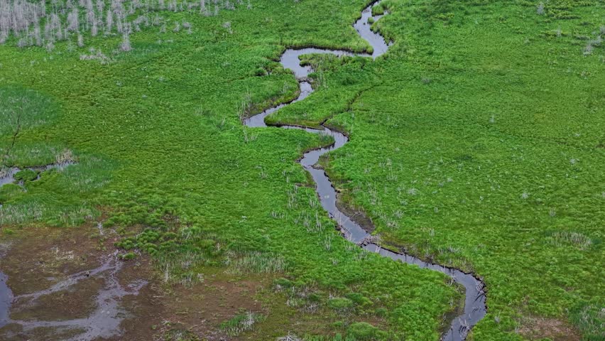 Aerial drone view of a winding stream cutting through lush green wetlands in Michigan’s Upper Peninsula.