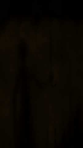 Welcome to hell! 2D animation in dark fantasy genre. Animated horror collection. Evil winged demon, scary ghost, vampire creepy face. Exciting images of spooky Halloween. Blur effects, camera shake.