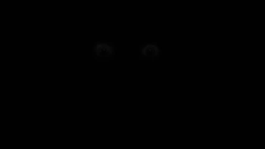 Evil fanged monster attack in creepy nightmare. 2D animation horror fantasy genre. Scary eyes in spooky night. Gloomy animated short film. Abstraction dark backdrop. Black and white background movie.