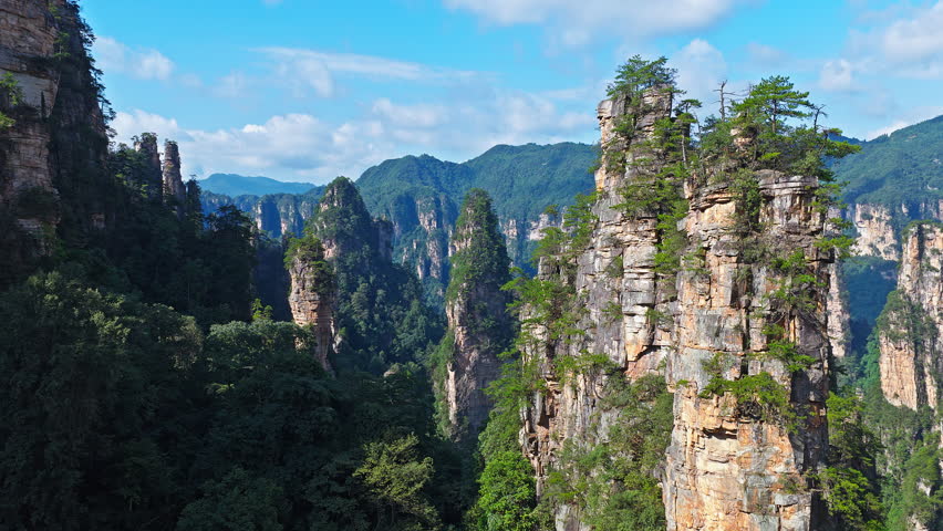 Majestic Zhangjiajie national forest park: towering sandstone pillars emerging from lush green forest, Wulingyuan Scenic Area, Hunan Province, China.