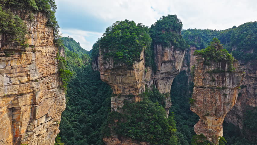 Majestic Zhangjiajie national forest park: towering sandstone pillars emerging from lush green forest, Wulingyuan Scenic Area, Hunan Province, China.
