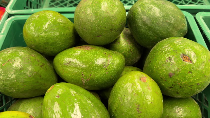 Close up video of ripe avocados displayed at supermarket