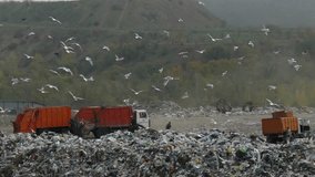 Landfill site with garbage trucks and a massive flock of birds flying over the trash. People and trucks working on a city dump. Garbage trucks are driving on a huge waste dump. - Powered by Shutterstock - Get 15% off with code: PIKWIZARD15