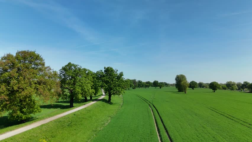 Aerial View of Lush Green Meadow with Scattered Trees Under Clear Blue Sky in Spring