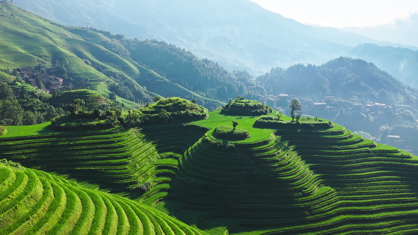Summer scenery of Longji Terraced Fields with rolling hills in Guilin, Guangxi Province, China.