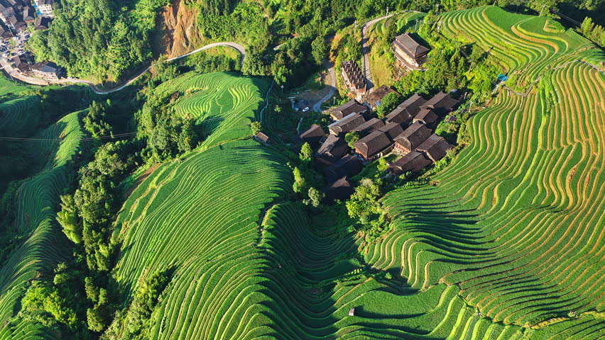 Aerial shot of the spectacular Longji Terraced Fields with traditional village in Guilin, Guangxi Province, China.