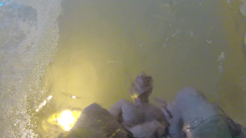Underwater shot of a man in a hot tub