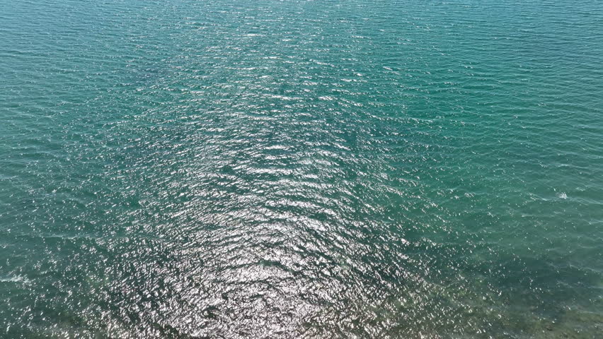 Drone shot of a tree landscape among yellow flowers by the sea in spring.